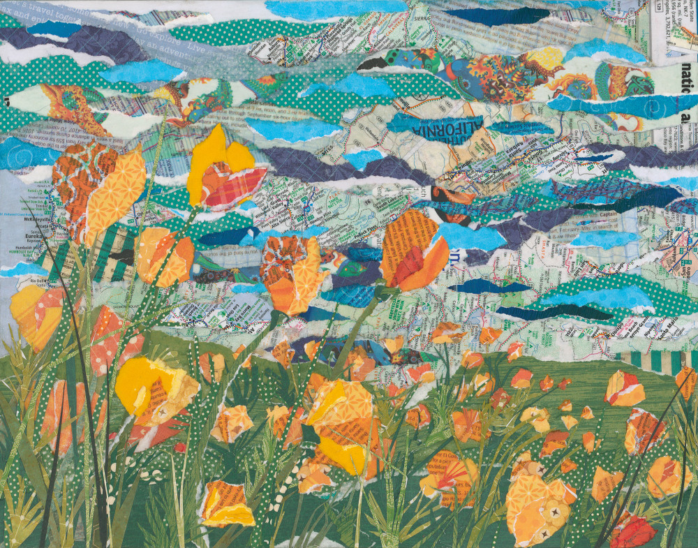 California Poppies 2