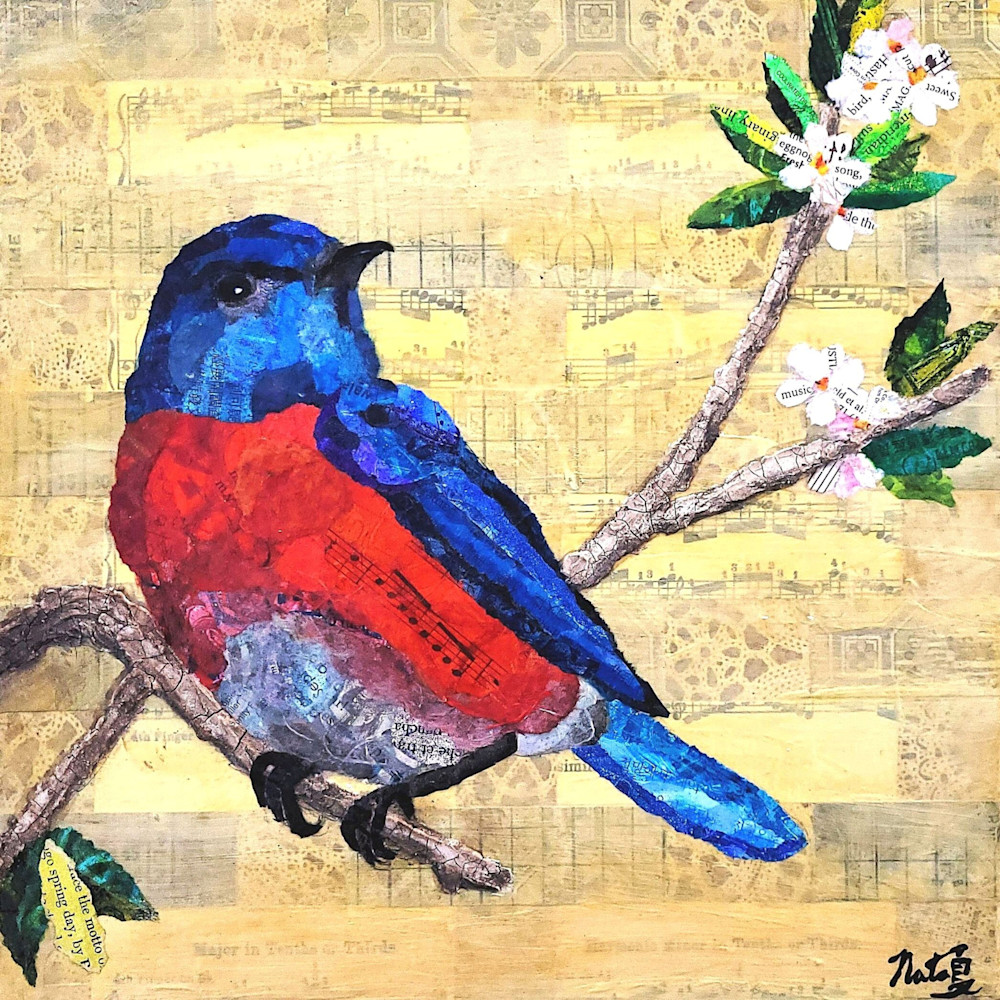 Backyard Birds: Western Bluebird Art | Poppyfish Studio