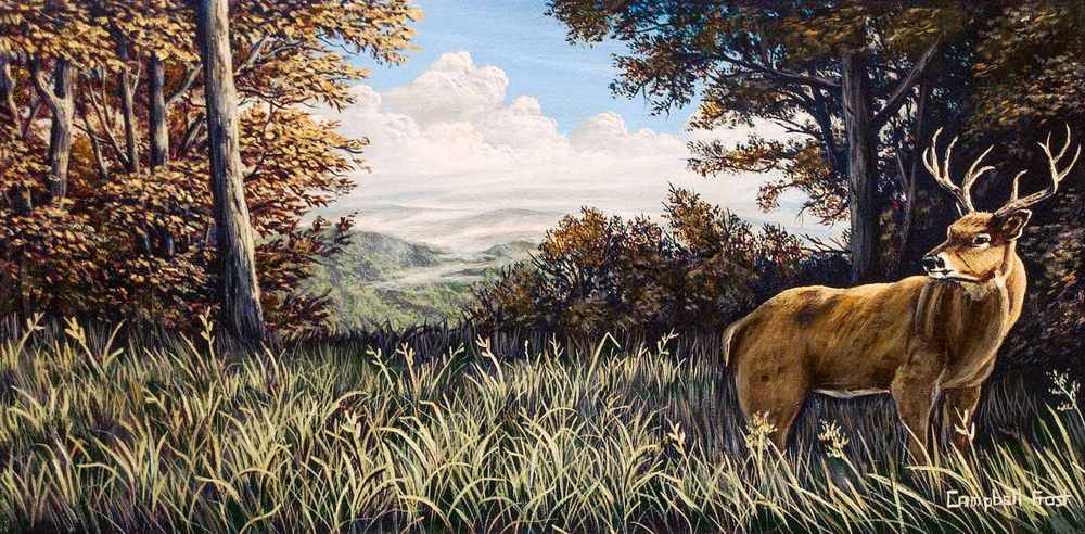 King of the Blue Ridge, a Painting by Campbell Frost