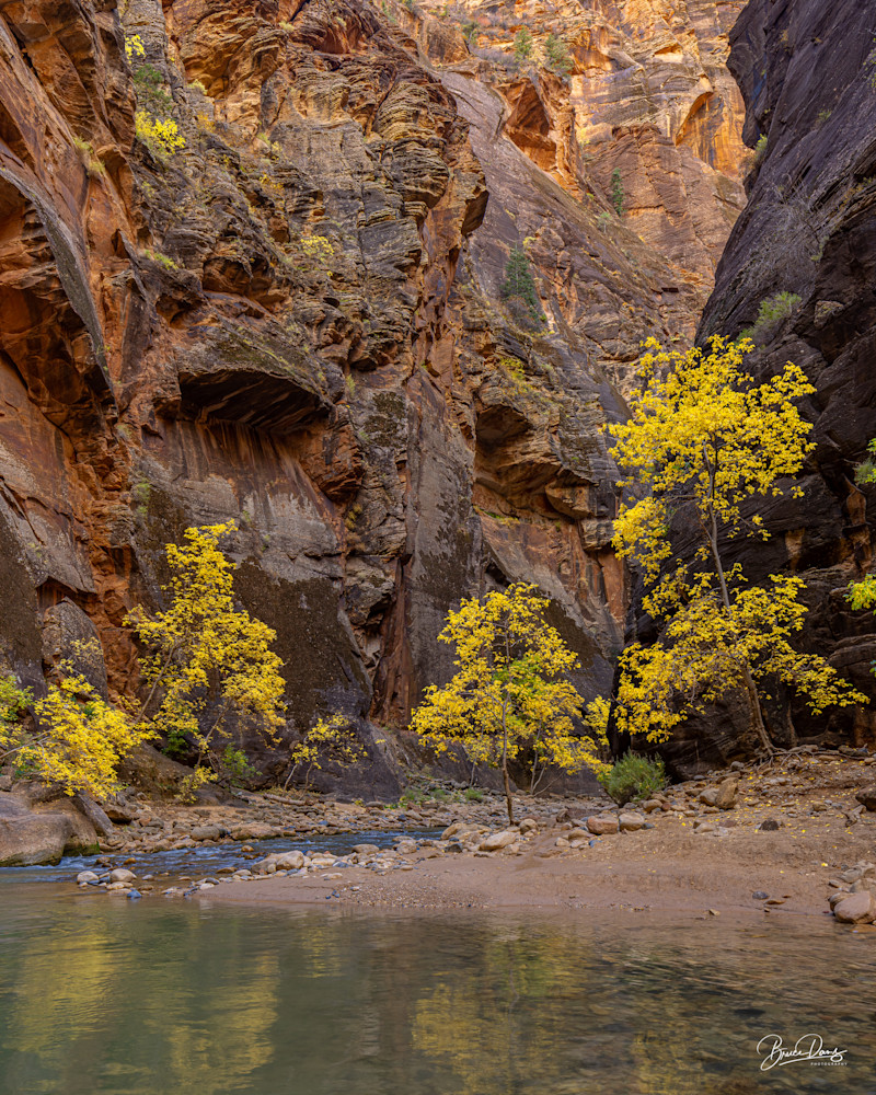The Narrows at Zion XII