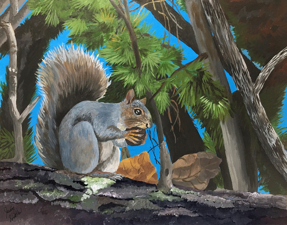 Squirrel Munching a Nut