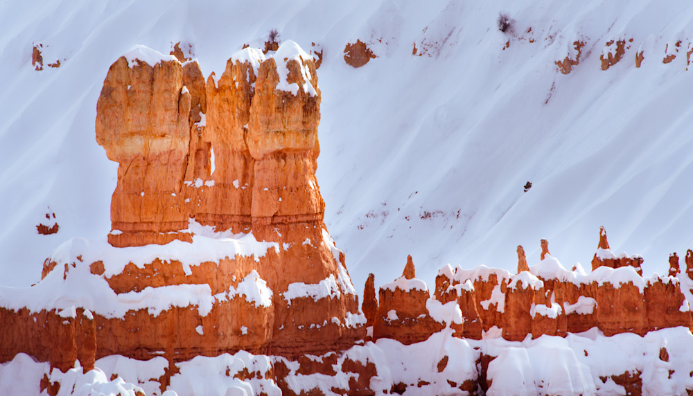 Bryce Canyon Hoodoo In Snow Photography Art | Deni Cary Phillips Photographs