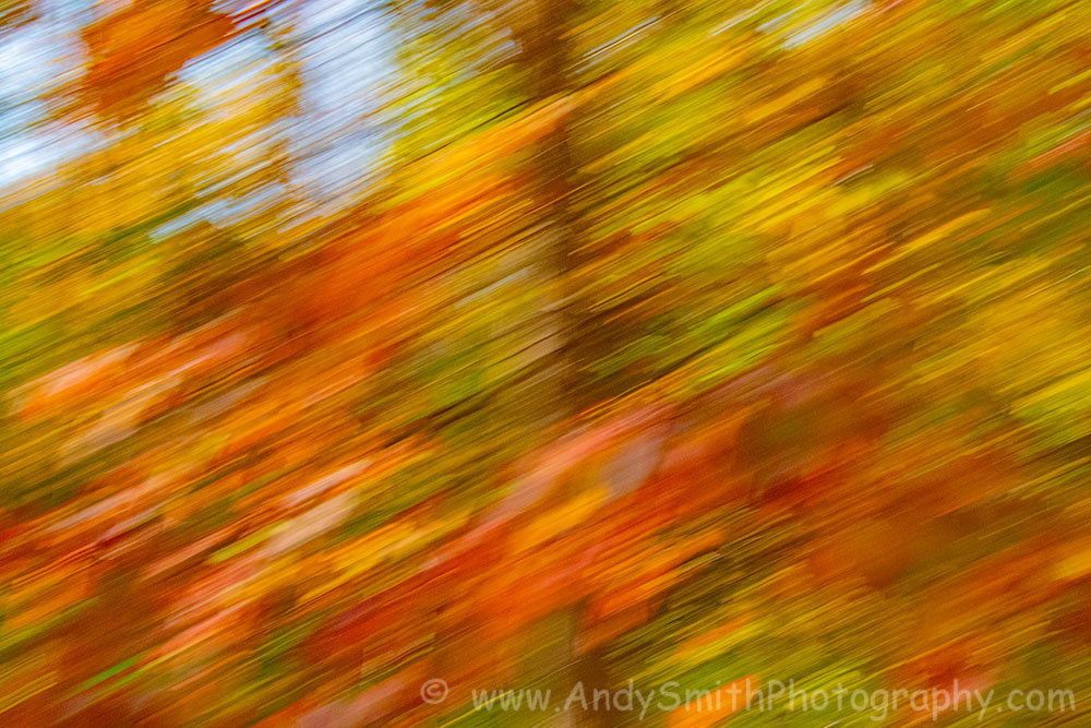 Fall Colors Taking Off