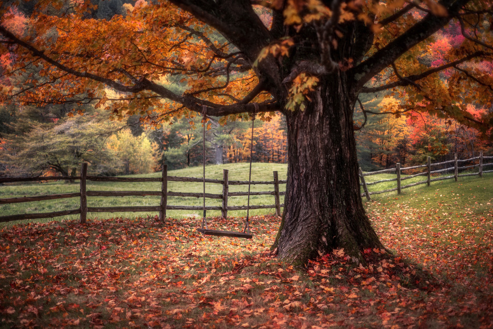 Autumn In Vermont Art | Taylor Photography
