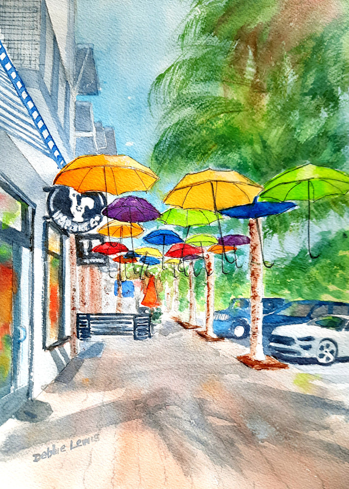Dunedin Umbrellas
