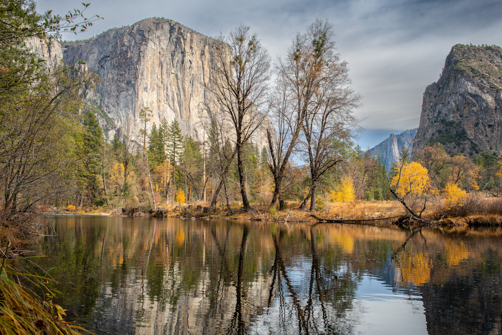 Valley View Yosemite Art | Terrie Gray Photography LLC