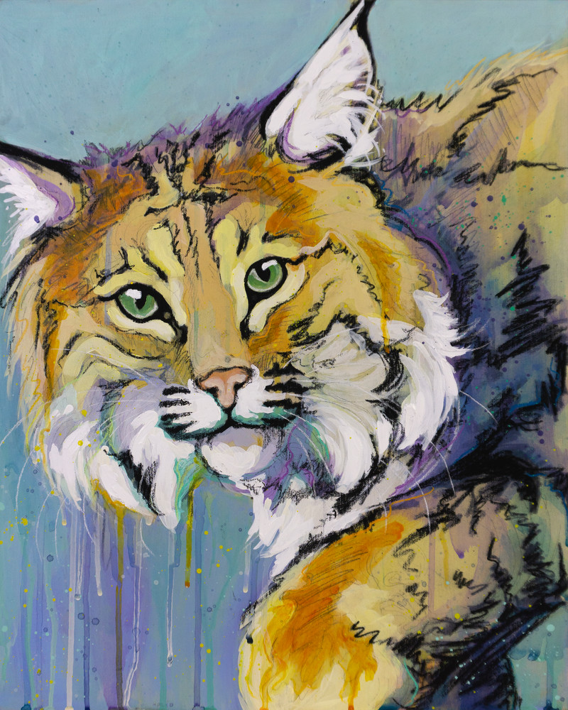 Bobcat Art | Kelsey Showalter Studios
