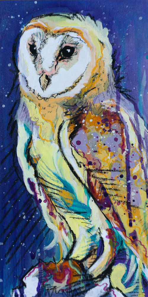 Starry Barn Owl Art | Kelsey Showalter Studios
