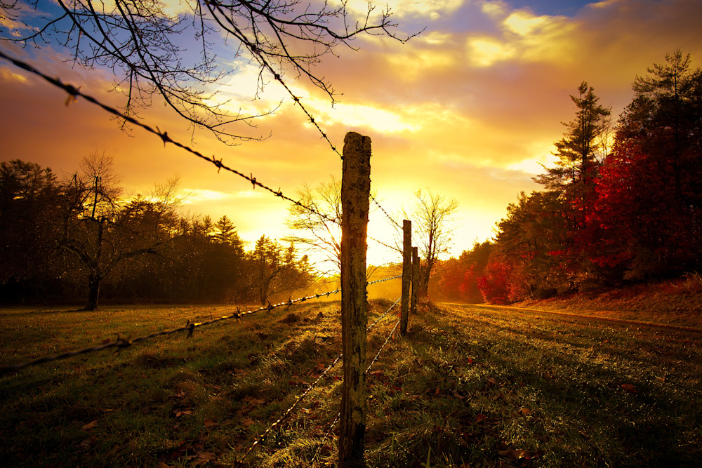 "Back Light" - Smoky Mountains, NC - Renee Sullivan Photography - Fine Art Prints