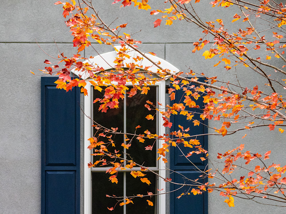 Shutters and Leaves