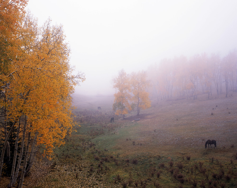 Foggy Morning Photography Art | Tim Fausett Photography LLC