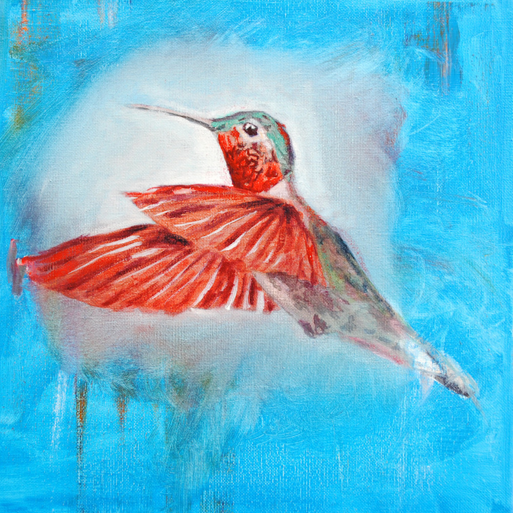 Redwing Hummingbird
