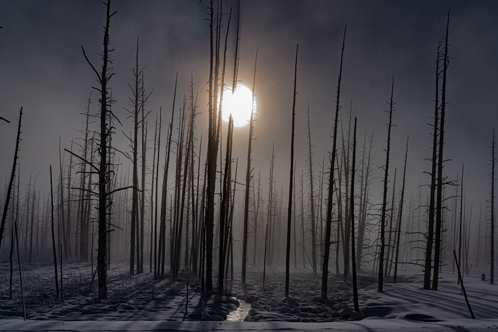 Yellowstone National Park 4 Photography Art | Rollie Waters Images