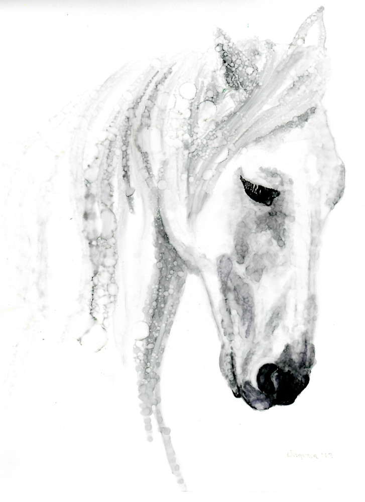 Pegasus Art | Art by Virginia Crowe