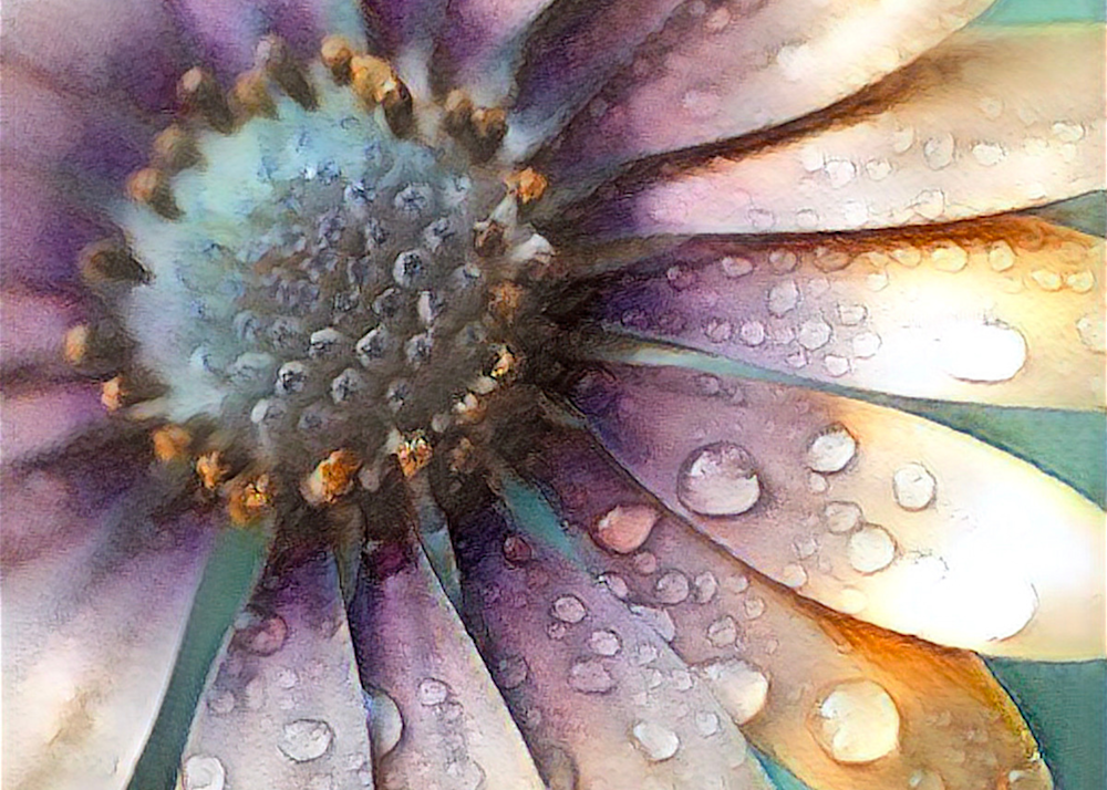 Faded Glory Art | Art by Virginia Crowe