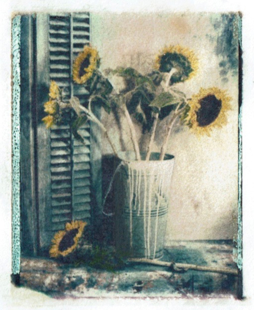 Sunflowers  (Print) Art | Laurie Fields Studio
