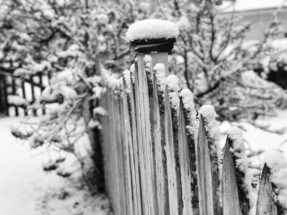 B W Fence 101 Photography Art | Look Park Studios