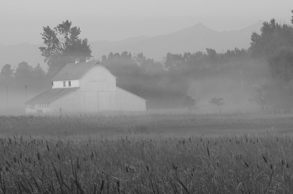 Morning Fog Photography Art | Tim Fausett Photography LLC