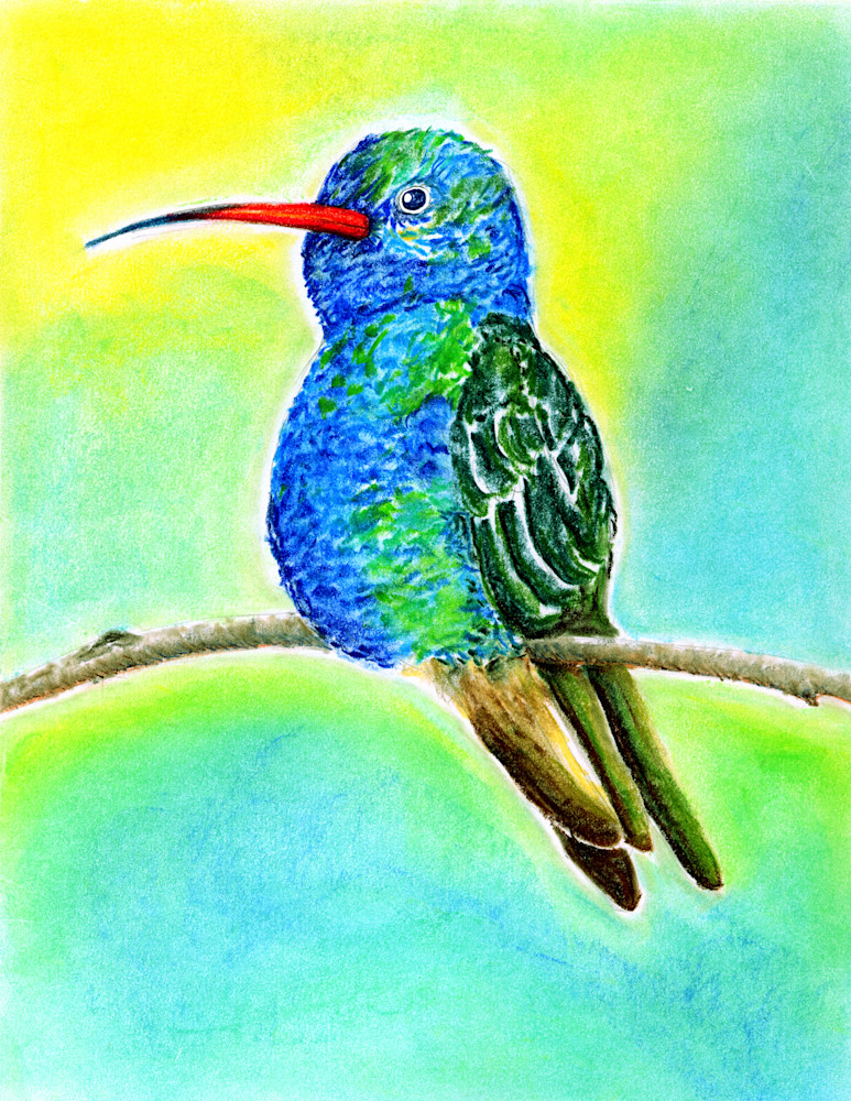 "Birds Of A Feather" Hummingbird Art | Jeanine Colini Design Art