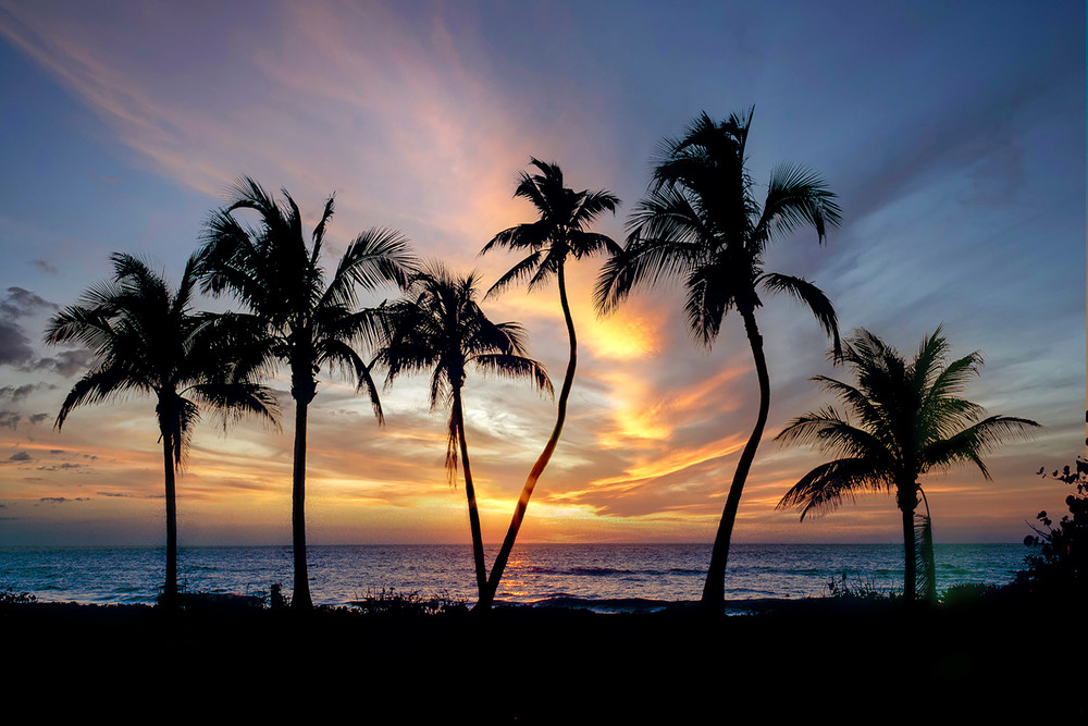 Sunset Palms 2 Photography Art | Cunningham Gallery
