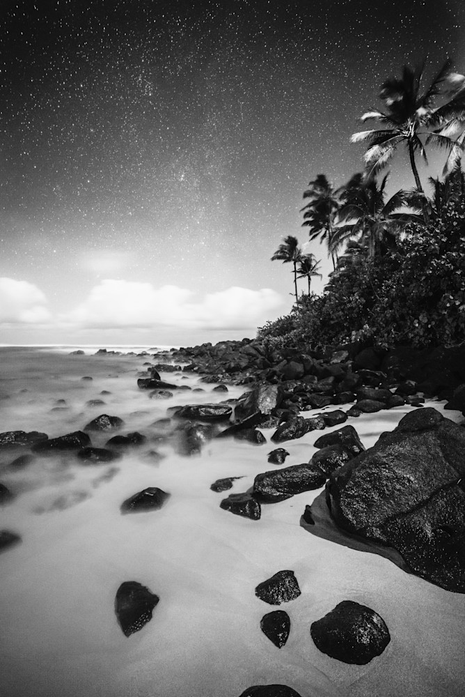 Turtle Beach Photography Art | Jason Bartimus Photography