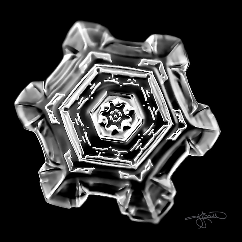 Snow crystal macro photograph on microscope slide Black and White
