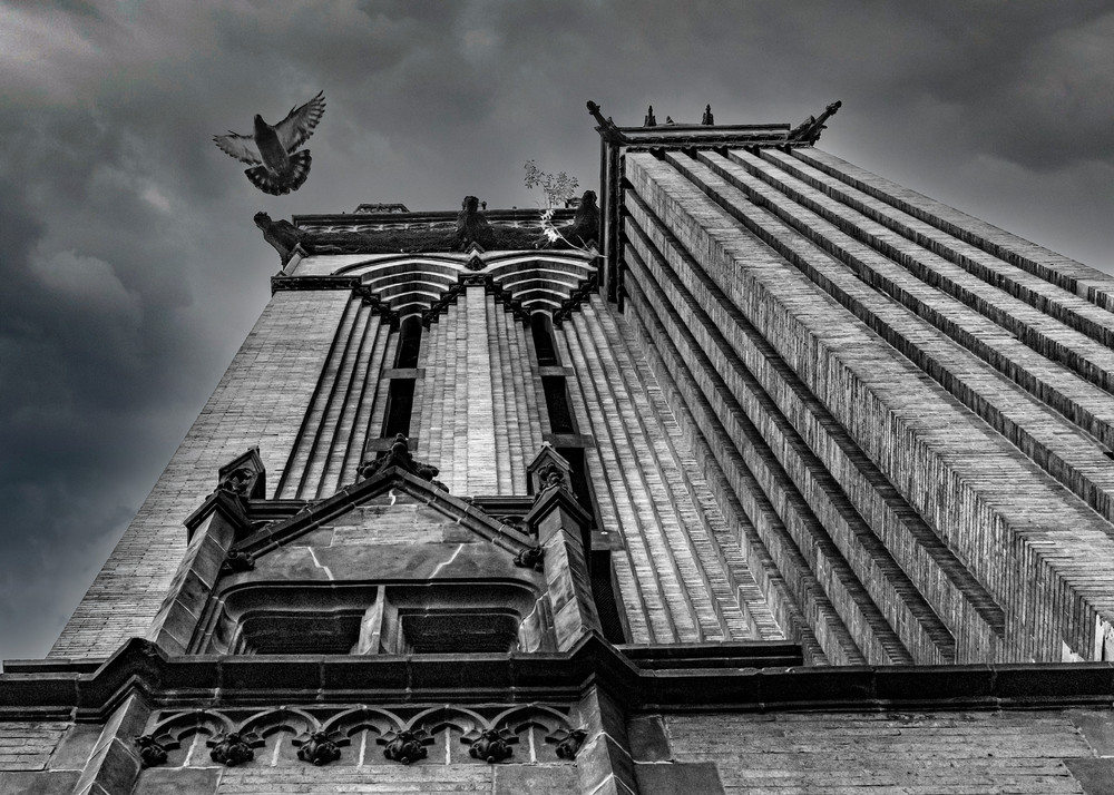Looking up at ancient gothic cathedral with fleeing bird and stormy sky