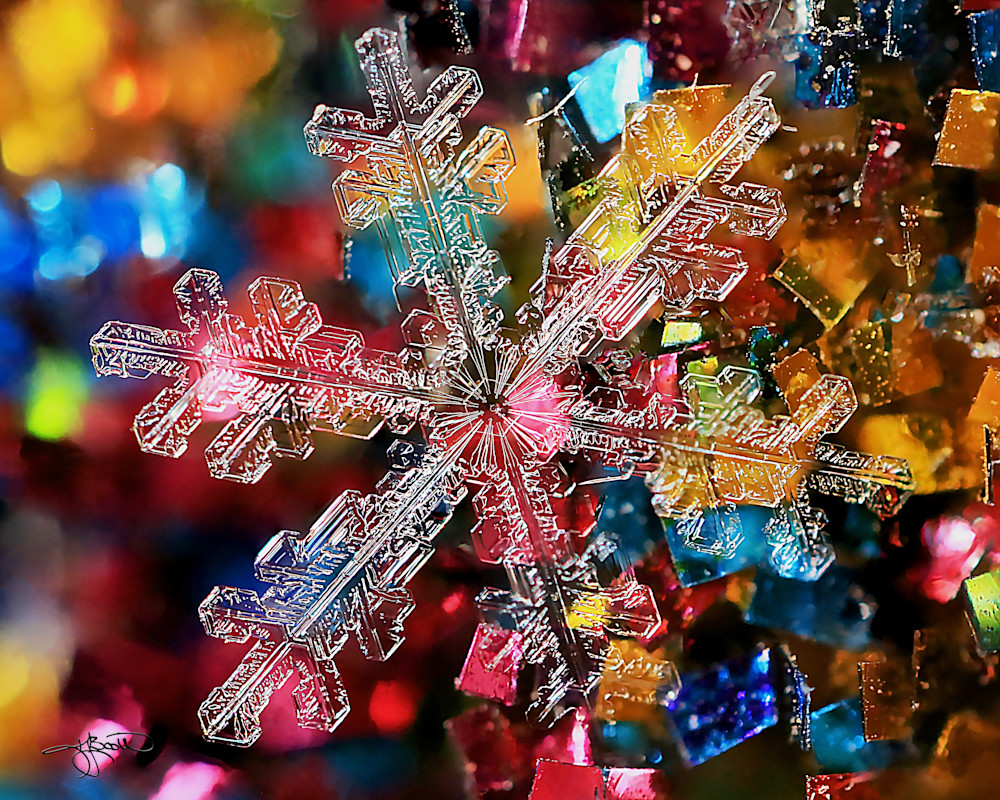 Real Snowflake On Confetti