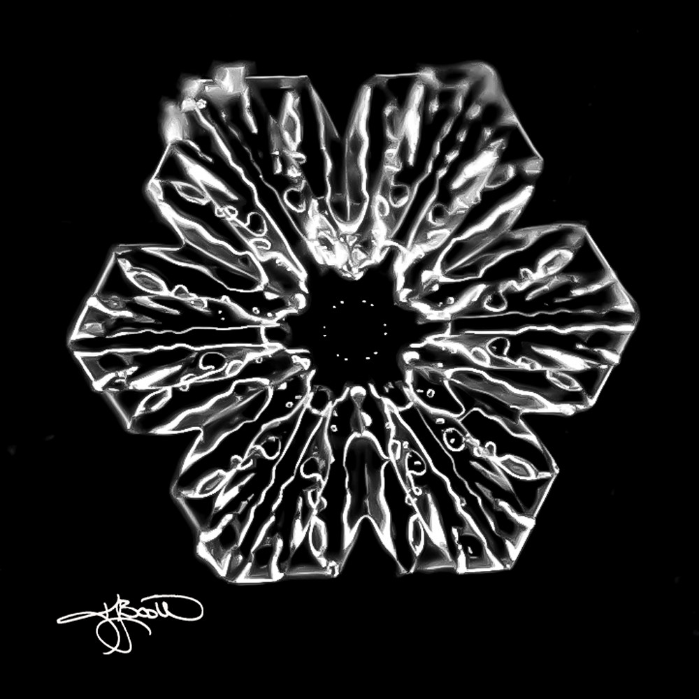 Black and White Plate Snow Crystal Vibrant 