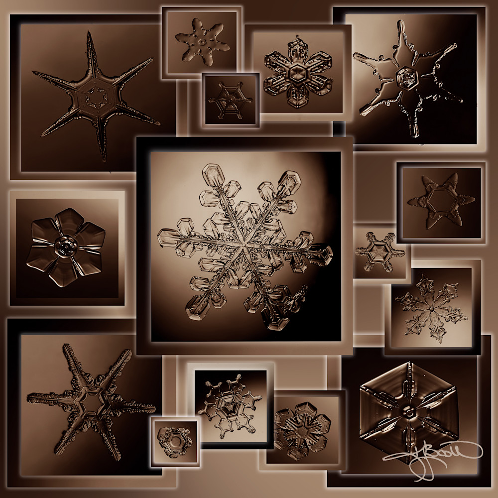 Real Snow Crystal Collage Brown by Karla Jean Booth 