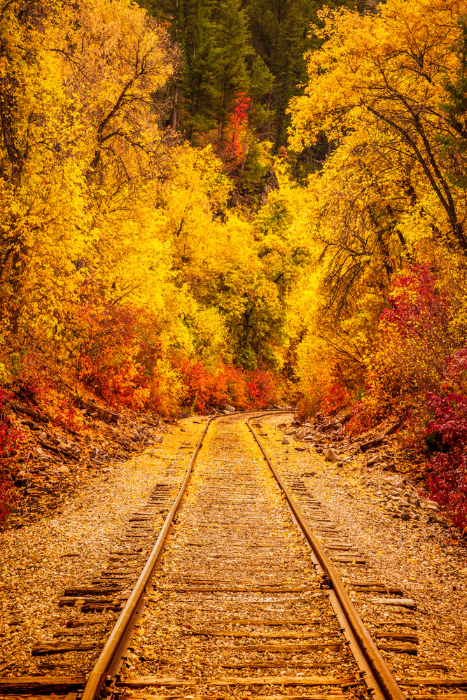 Provo Canyon Autumn Railroad