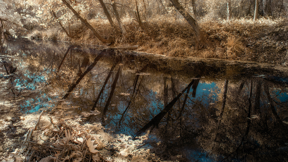 Reflections, Dry Creek Inlet Photography Art | davidarnoldphotographyart.com