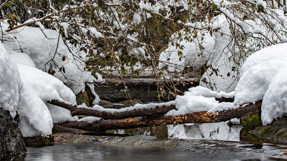 Winter Spring Photography Art | Marc Sherman Photography