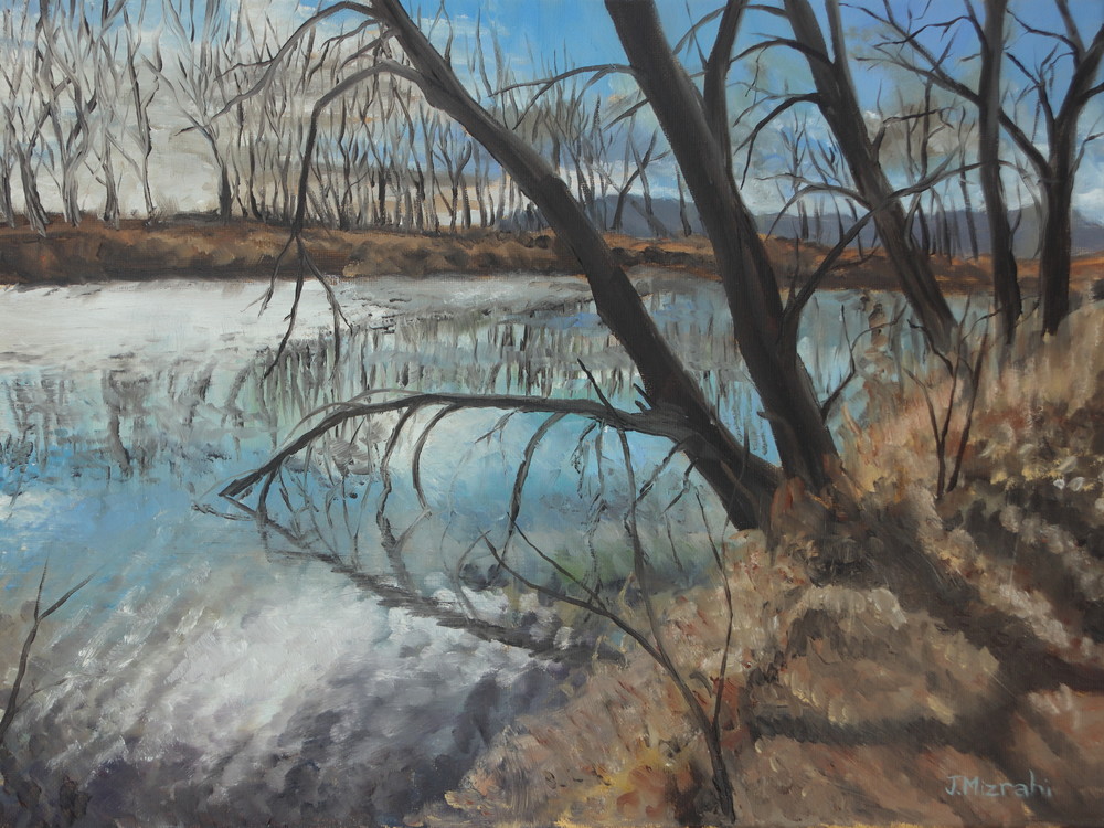 Winter Pond (Print) Art | mizrahiarts
