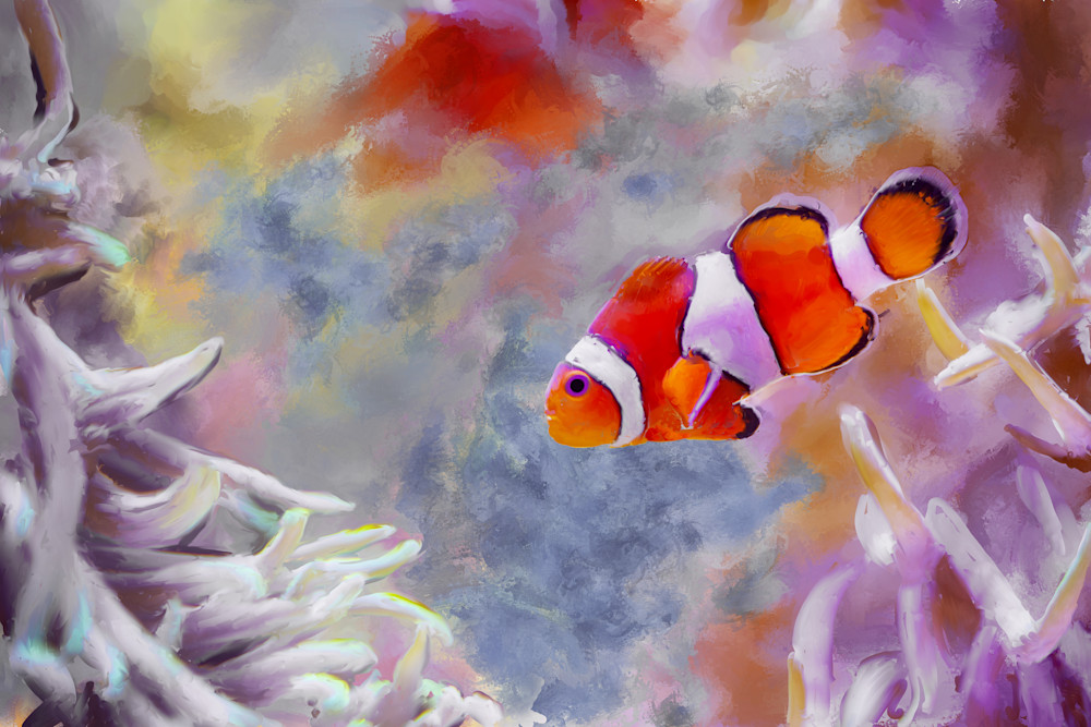Clown Fish Art | Rick Peterson Studio