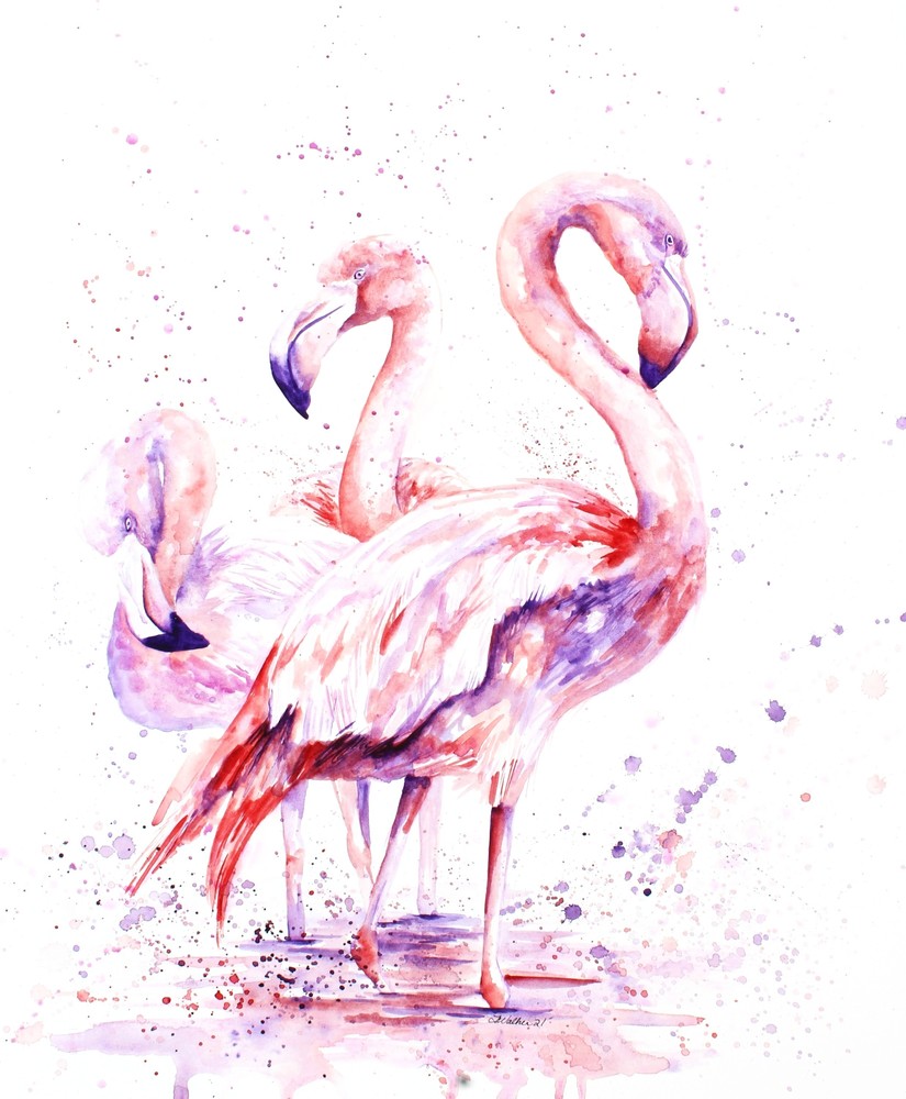 Safari Collection - Pink Flamingos
