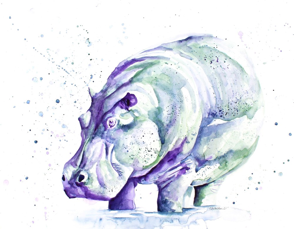 Safari Collection - Hippo
