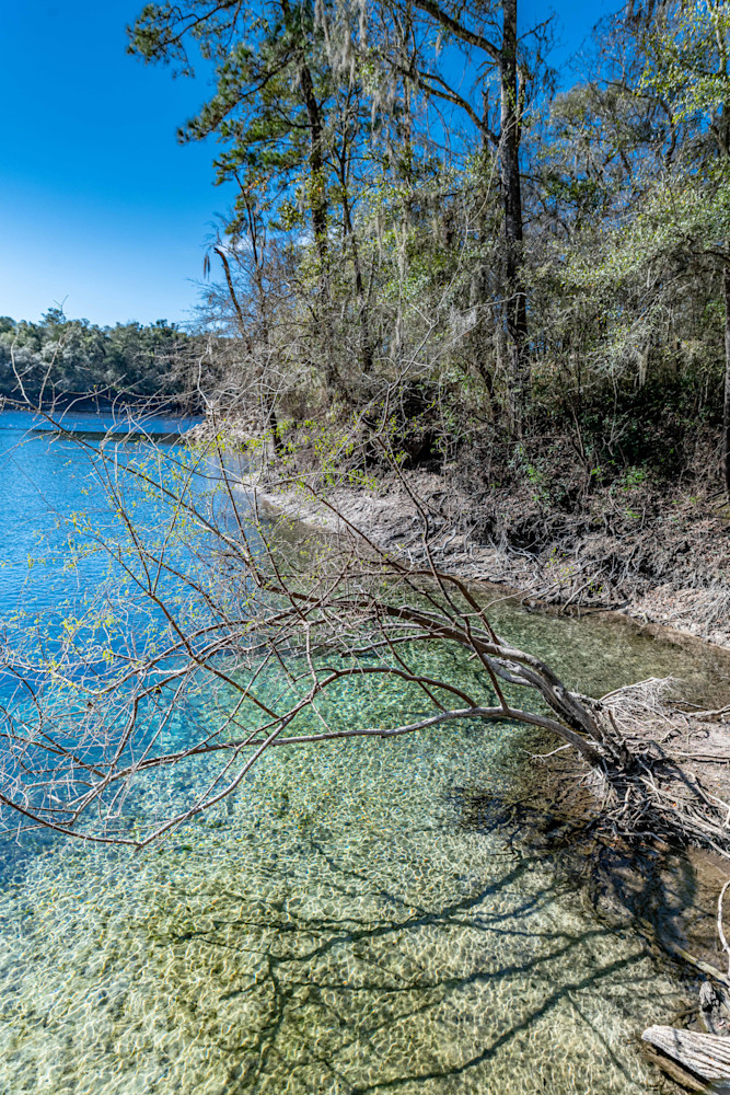 Little River Springs Photography Art | kramkranphoto
