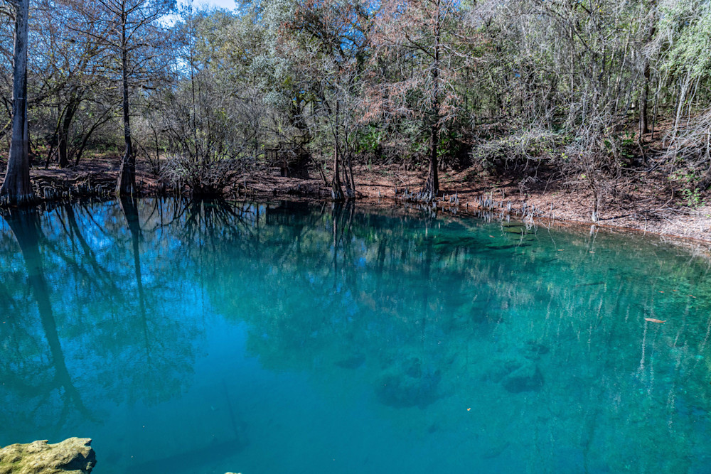 The Blue Of Royalty Photography Art | kramkranphoto