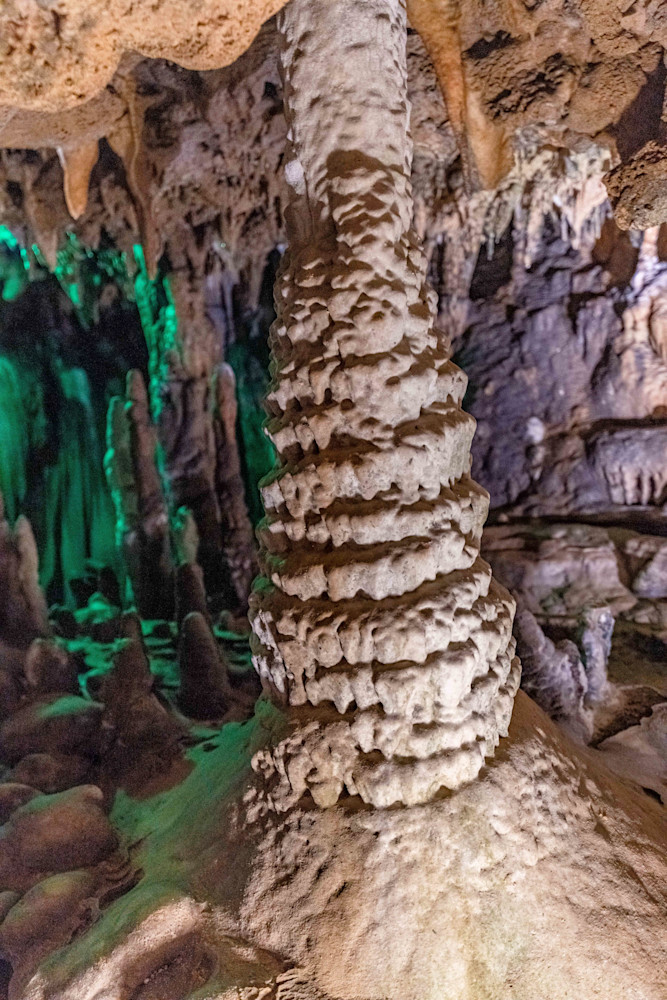 Florida Caverns State Park Vertical Photography Art | kramkranphoto