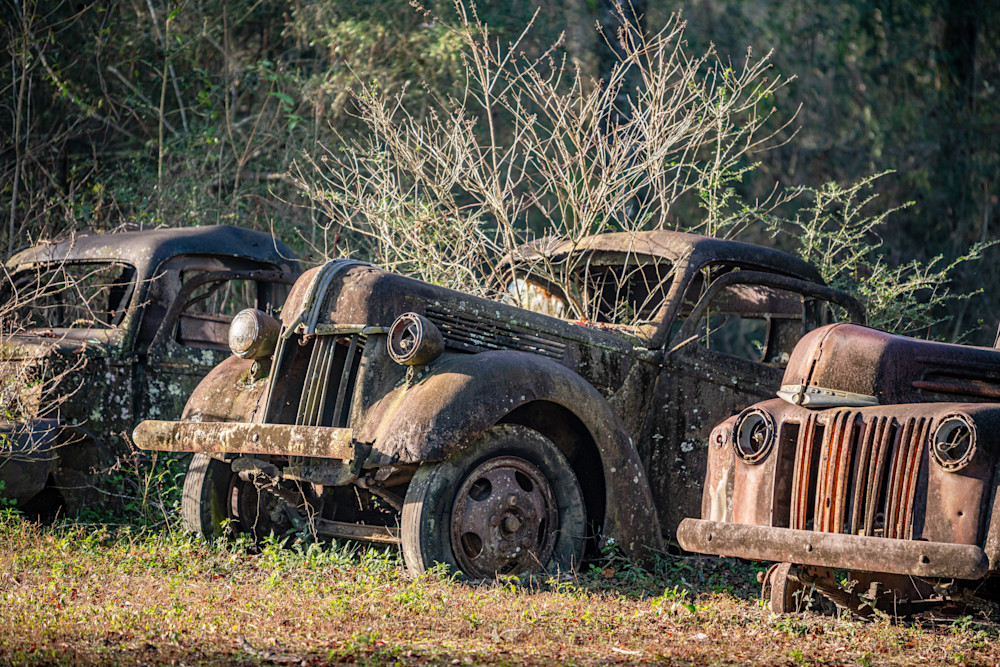 A Sentimental Ode Photography Art | kramkranphoto