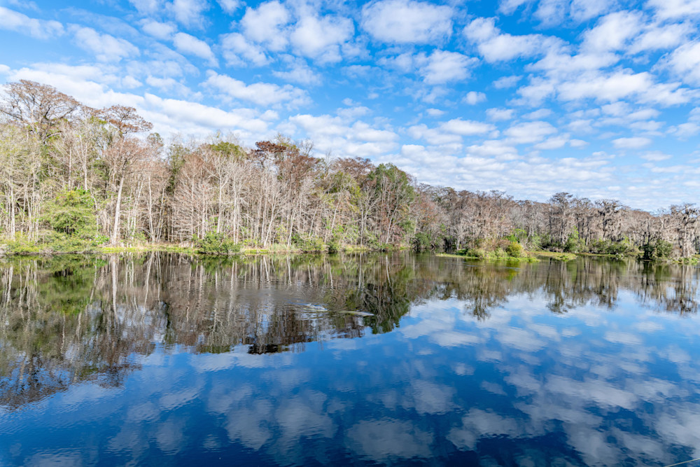 Wakulla Springs Reflections Photography Art | kramkranphoto