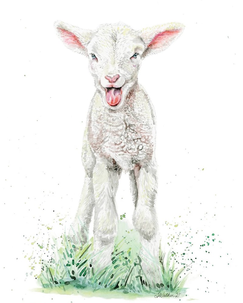 Nursery Prints - Laughing Lamb