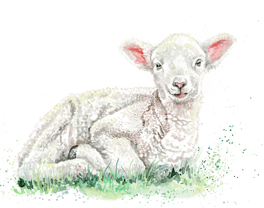 Nursery Prints - Laying Lamb