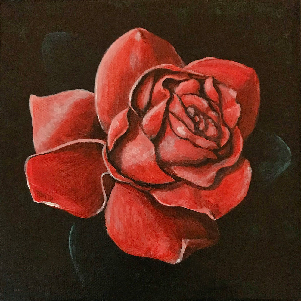 Linda Storm Art | Moonlit Red Rose | Prints