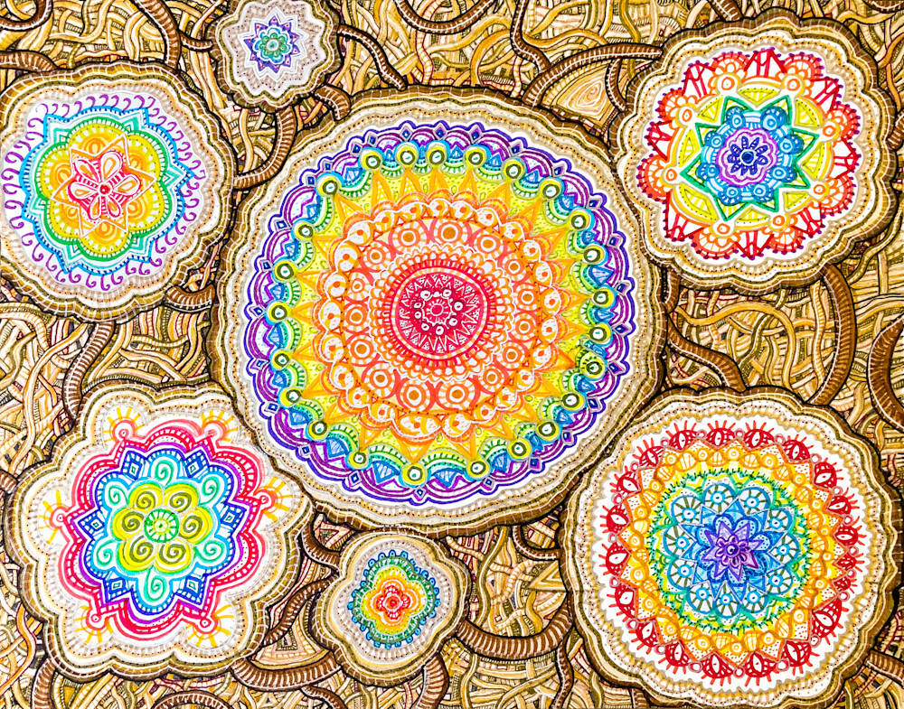 Gift Shop: Comfort Frequencies