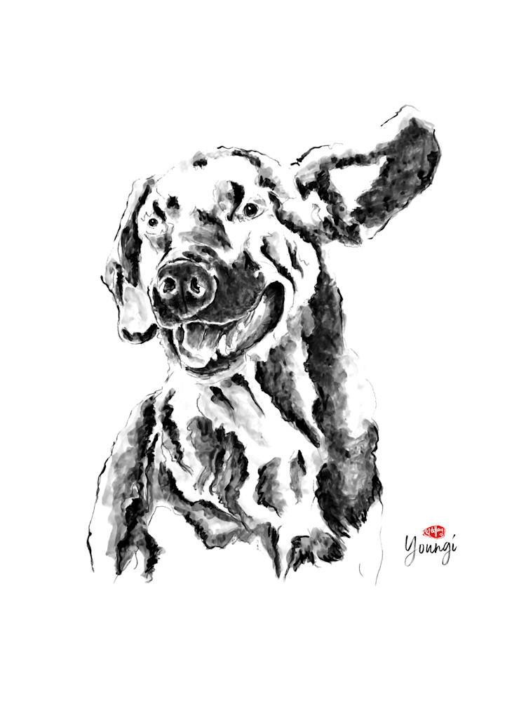 Abe: Coonhound Shepherd Mix Art | Youngi-Sumistyle pets