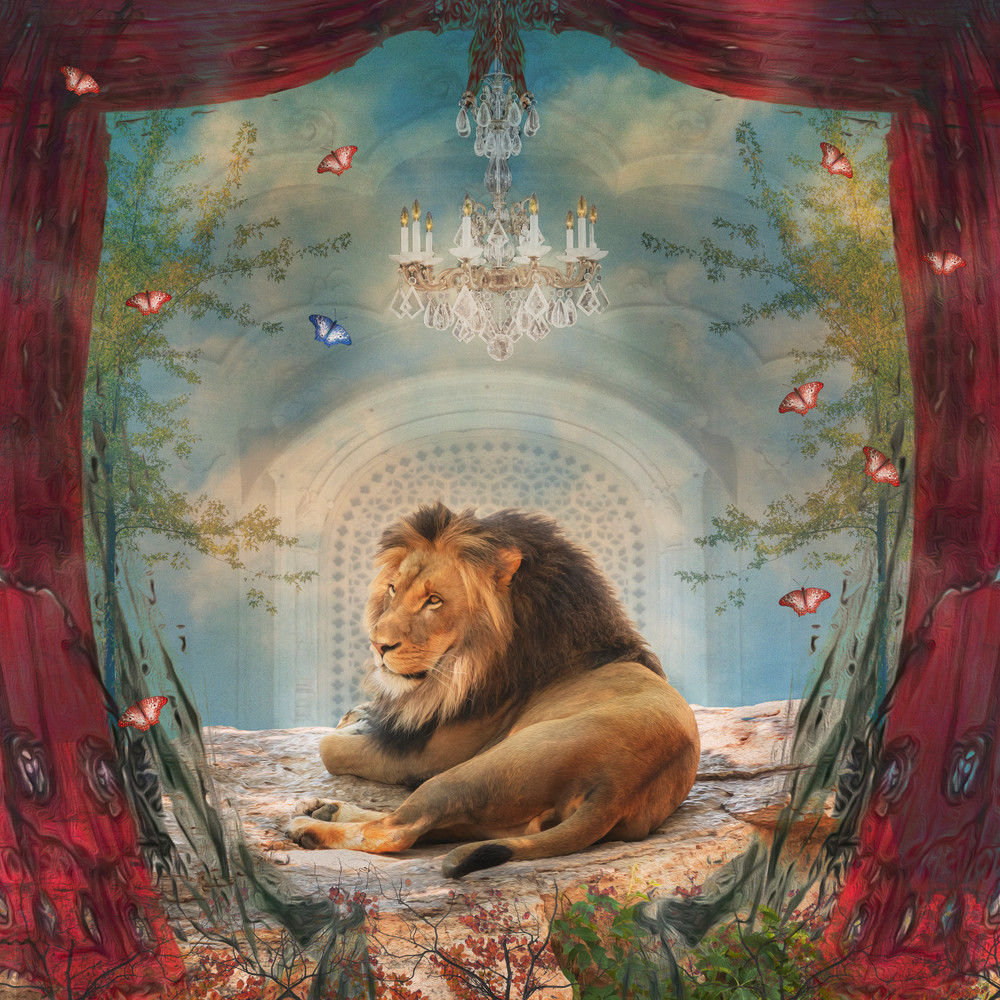 Panthera Leo Art | Sondra Wampler | fine art
