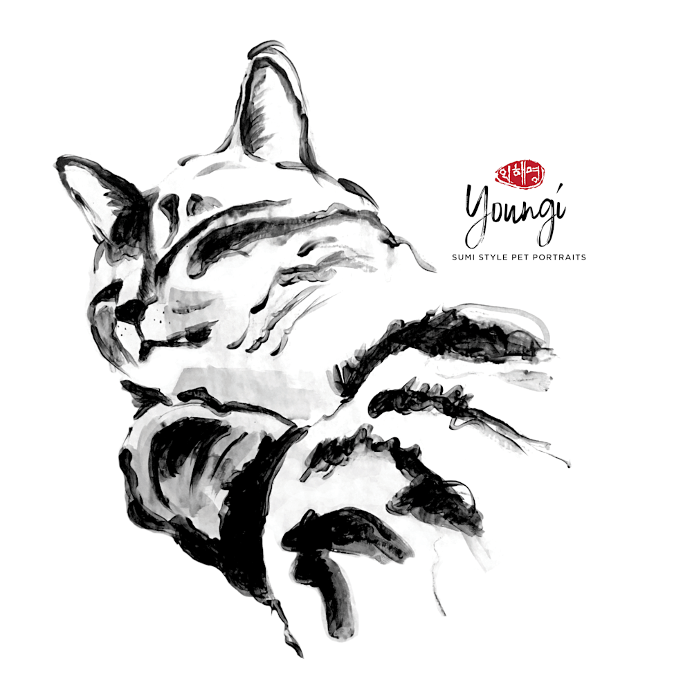  Pillows: Fi (Domestic Shorthair) Art | Youngi-Sumistyle pets