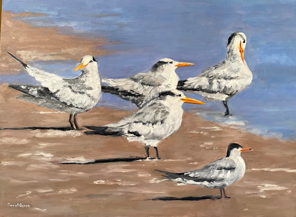 Royal Tern Beach Day O Il Painting Print Art | janetogrenart